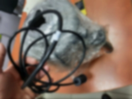 Ремонт измельчителей пищевых отходов InSinkErator 200-2