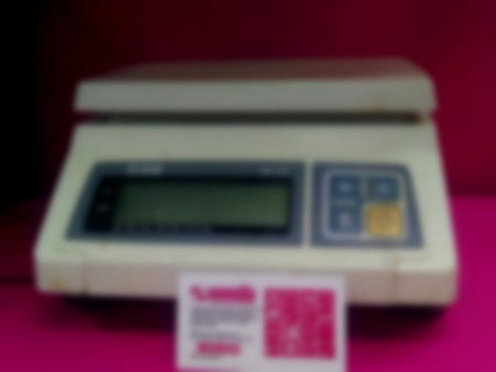 Ремонт кухонных весов  Cas sw-05