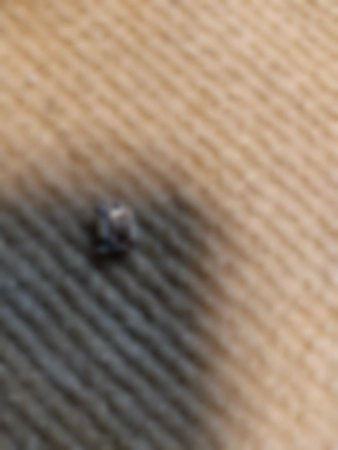 Ремонт навигаторов TeXet TN-606