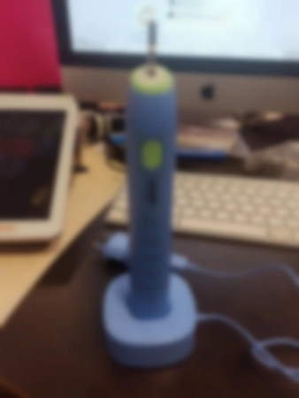 Ремонт электрических зубных щеток Garmin