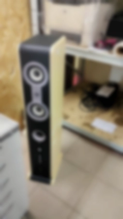 Ремонт аудио колонок TopDevice TDE 500