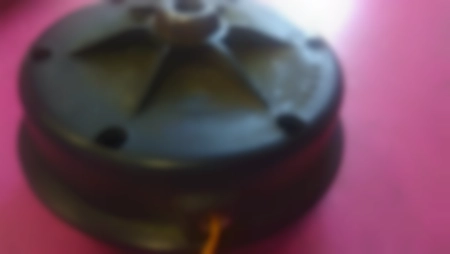 Ремонт садовых триммеров Champion без шильды