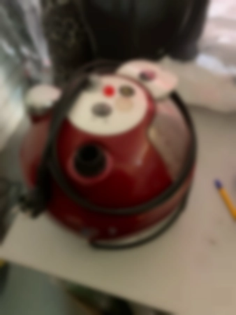 Ремонт пароочистителей Grand Master GM-Q5