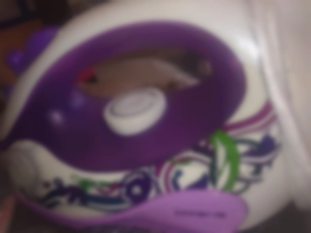 Ремонт утюгов Polaris PIR 2060K