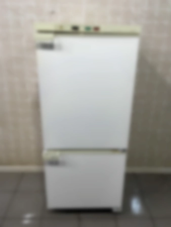 Ремонт холодильников Snaige