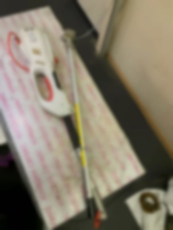 Ремонт садовых триммеров Sterwins 1200 BC-2