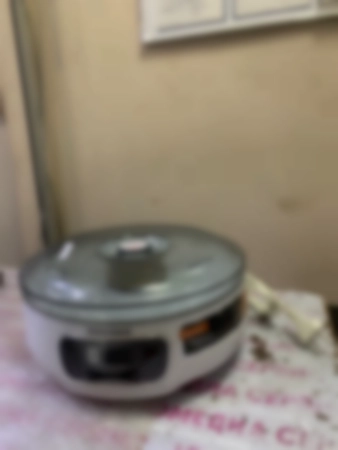 Ремонт сушилок овощей REDMOND RFD-0158