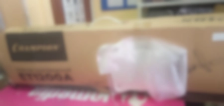 Ремонт садовых триммеров Champion