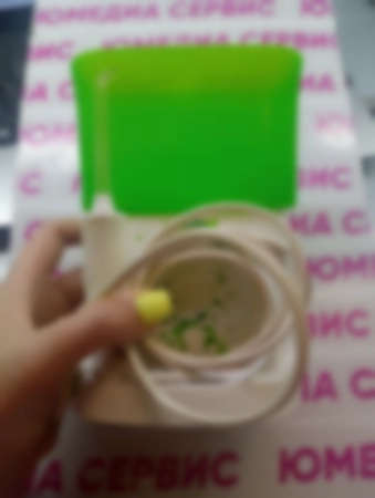 Ремонт ирригаторов WaterPik WP-260E